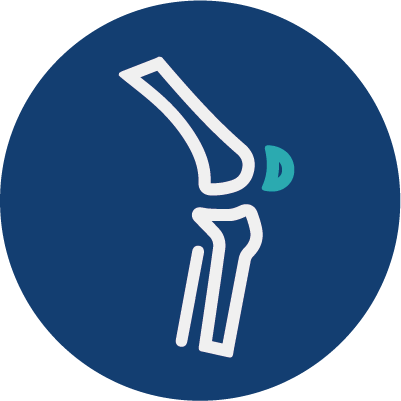Musculoskeletal icon
