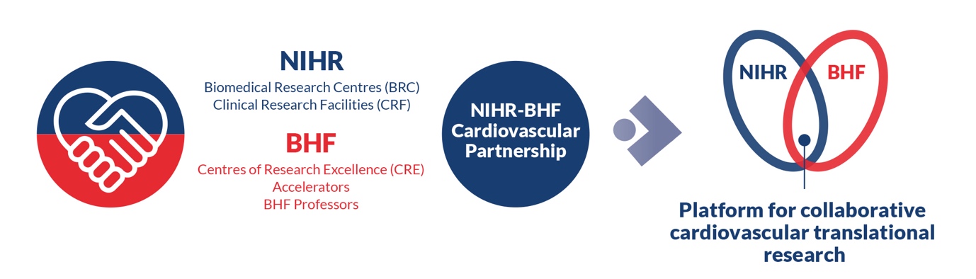 Nihrbritish Heart Foundation Cardiovascular Partnership Nihr Oxford