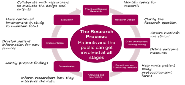 The PPI research cycle model