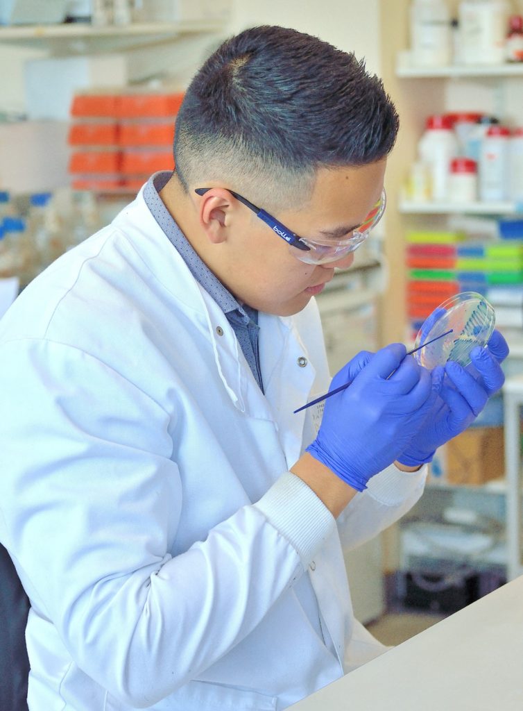 Kevin Chau working in the microbiology labs.