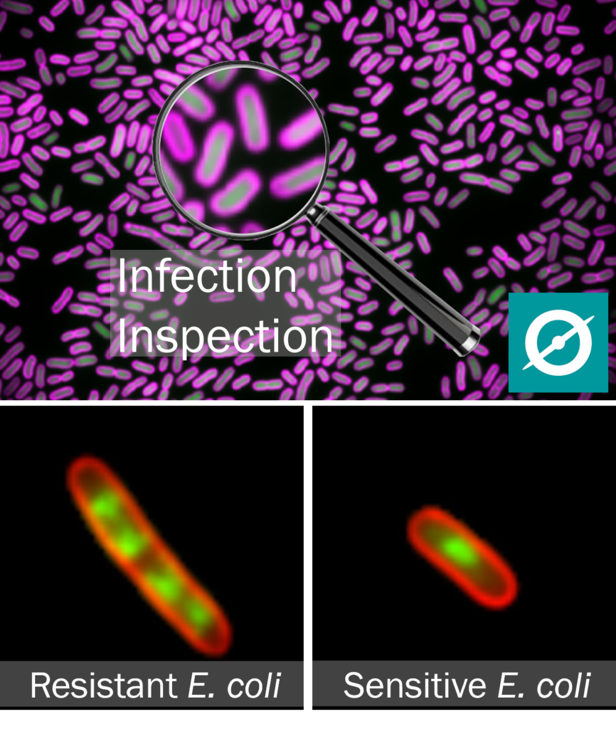 Infection Inspection logo and microscope images of resistant E.coli and sensitive E.coli