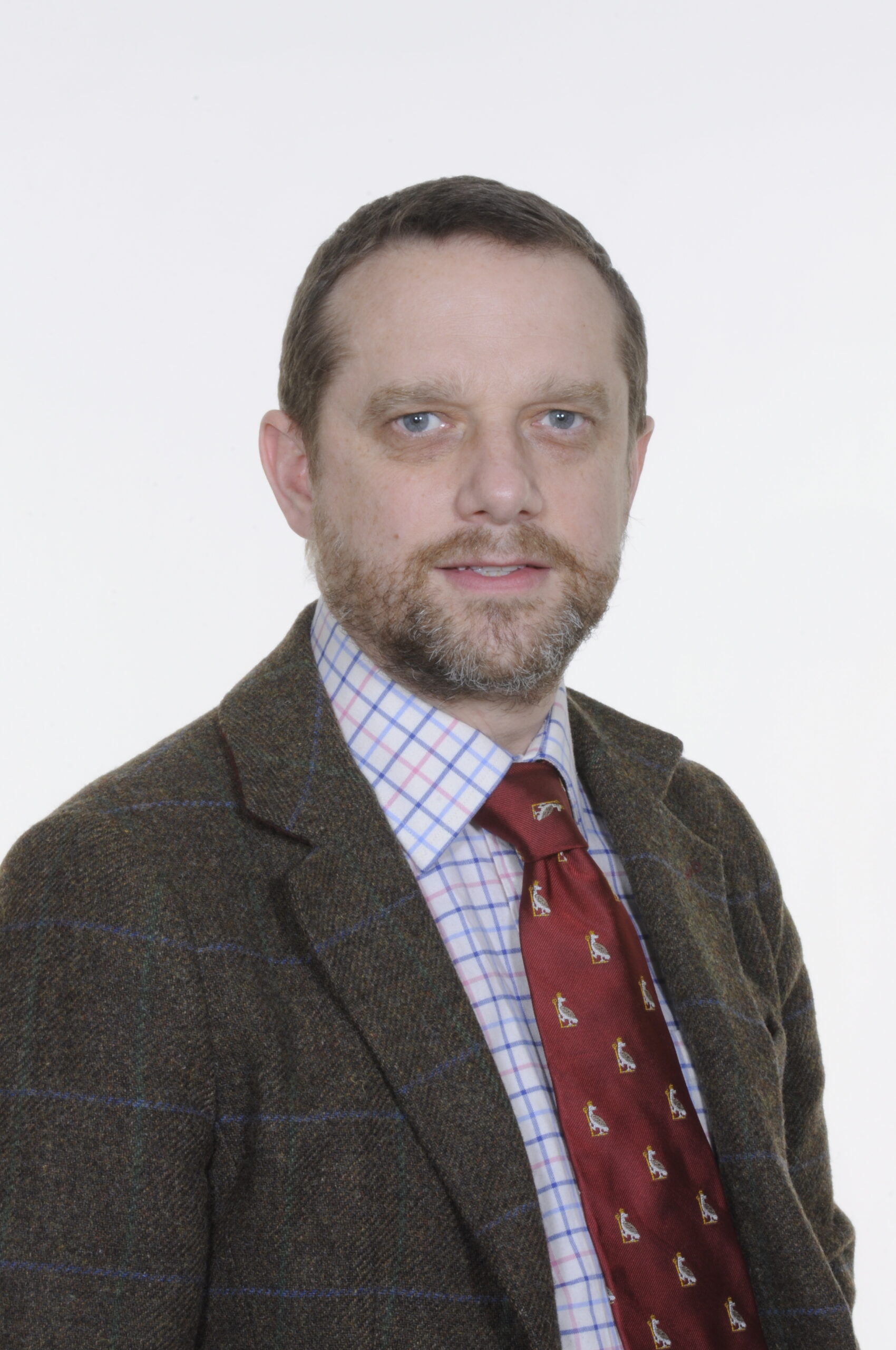 Contacts for Surgical Innovation, Technology and Evaluation | NIHR ...