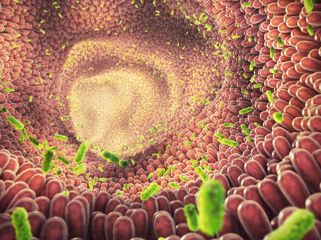 Concept illustration explaining cancer T cells and CPIs