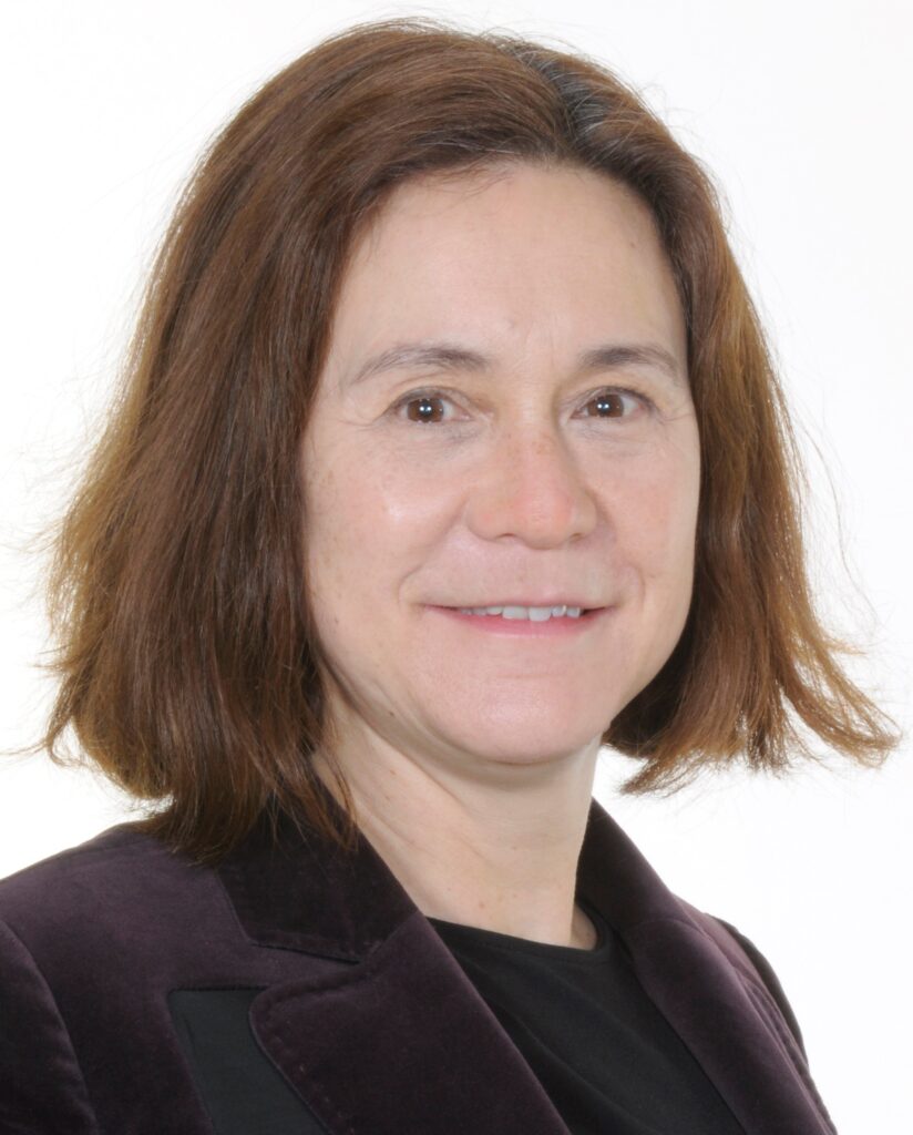 Professor Michele Hu