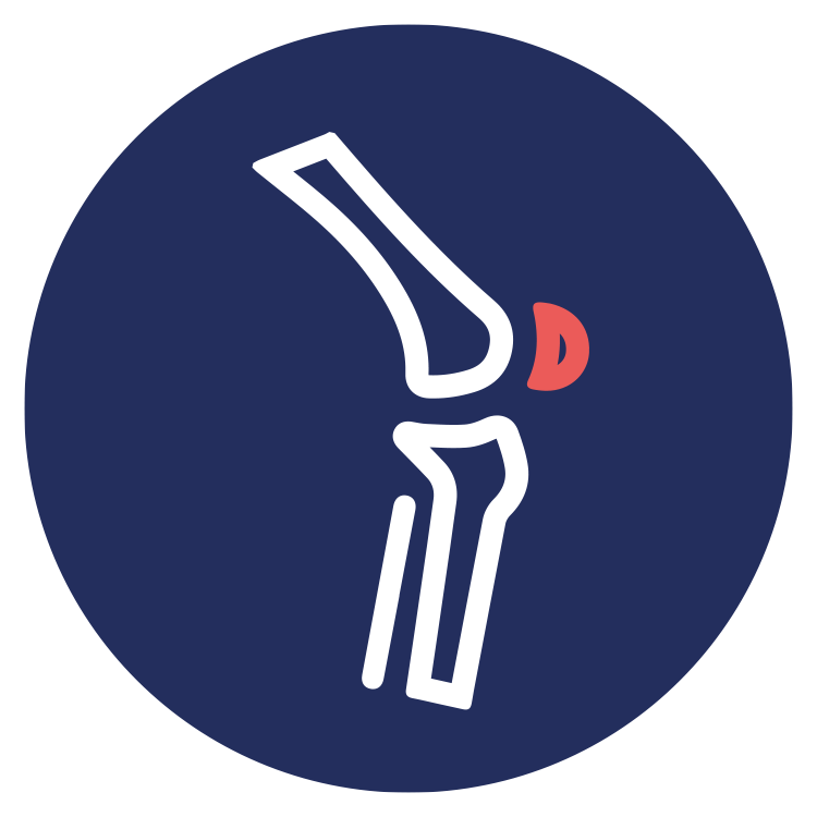 BRC4 Icon Musculoskeletal